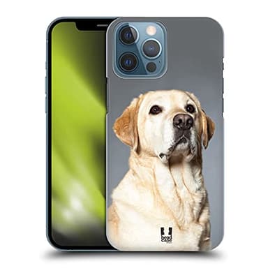 Head Case Designs Labrador Blonde Races Canines Populaires Coque Dure pour l'arrière Compatible avec Apple iPhone 13 Pro Max